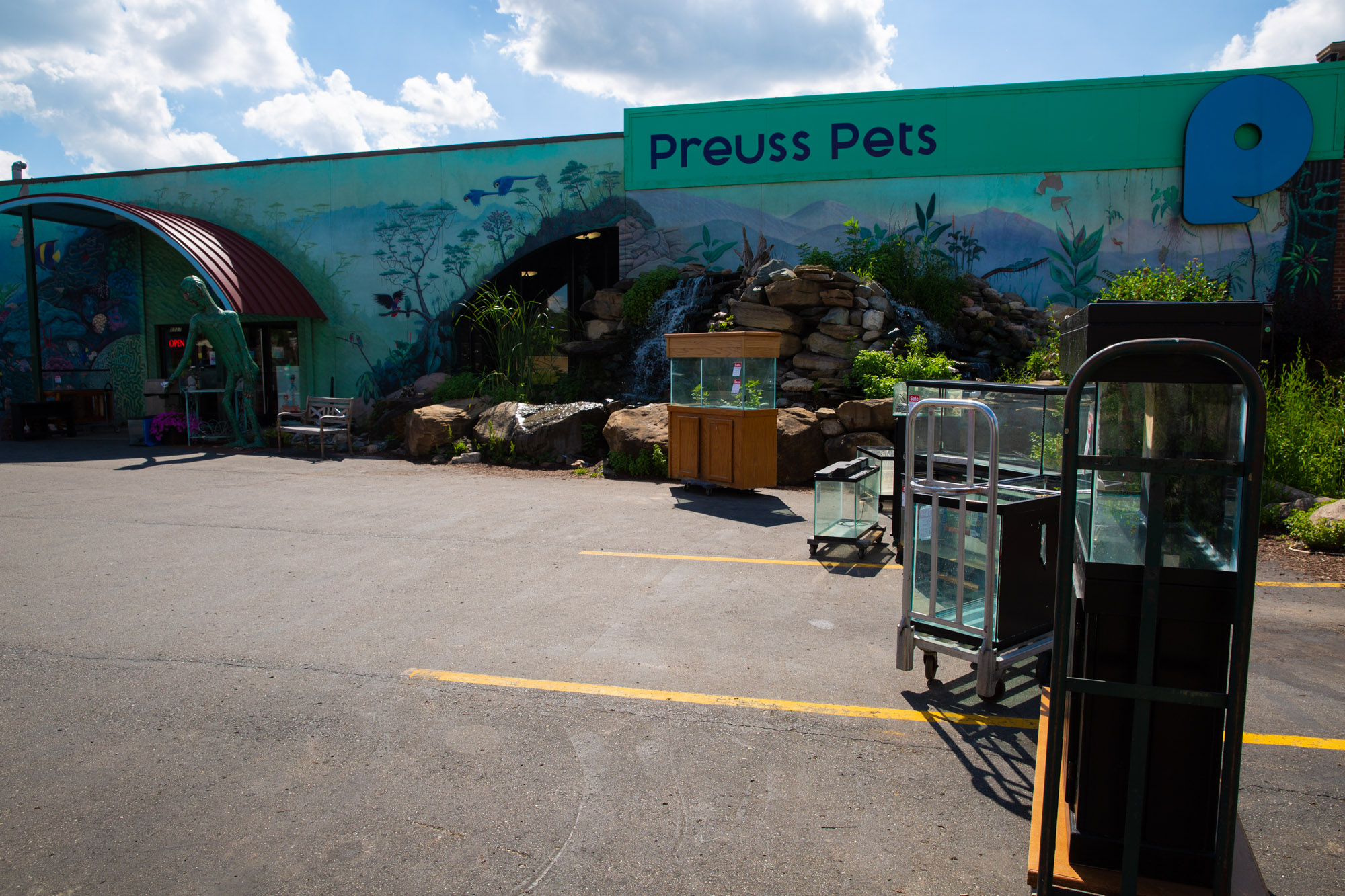 How one pet shop became a fish sanctuary after an ice storm News21