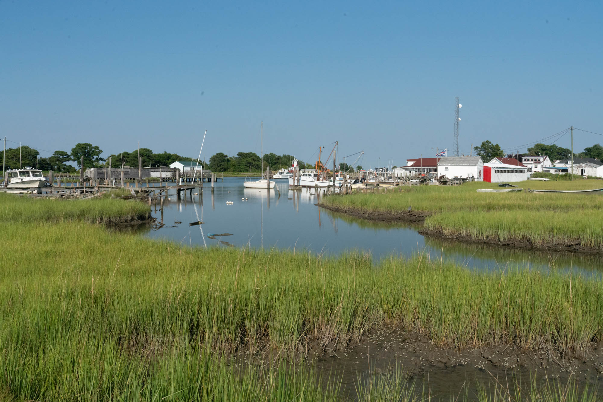 Scientists report that about a dozen communities on Maryland’s Eastern Shore, including  Smith Island and Crisfield, already are coping with disruptive flooding. (Jordan Laird/News21)