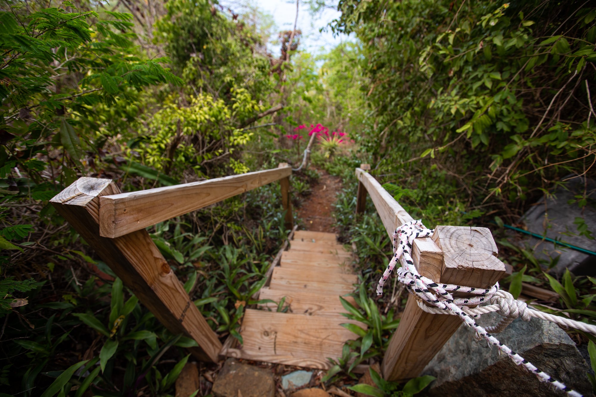 The path to Jim Kerr's secluded home on St. Thomas is long and steep. The ropes were installed after the 78-year-old Kerr, who is blind, had a hard time making his way up the hill from his cabin. (Anya Magnuson/News21)