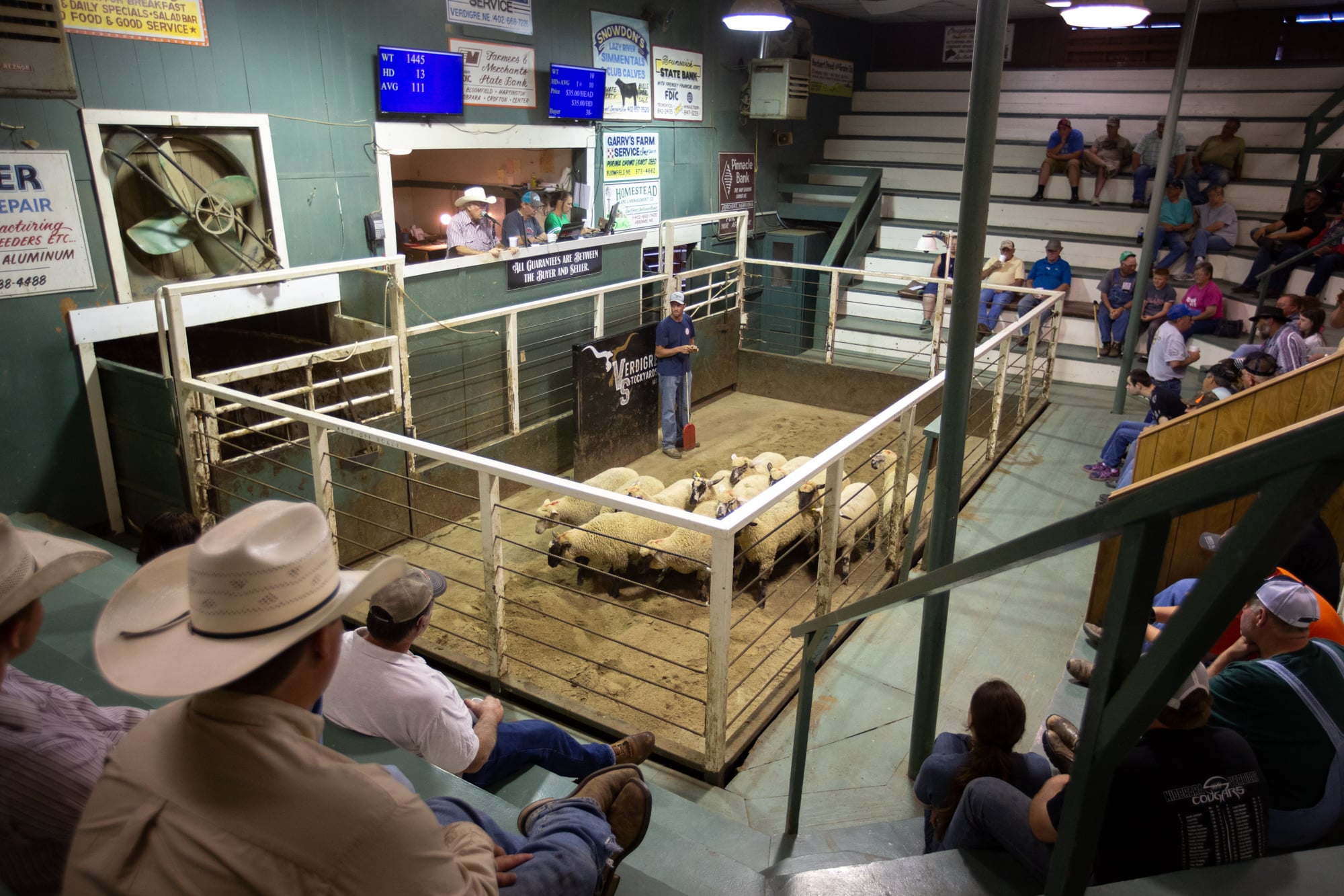 Sheep are auctioned at the stockyards in Verdigre, a farming and ranching town of about 600 in northeastern Nebraska. (Anya Magnuson/News21)