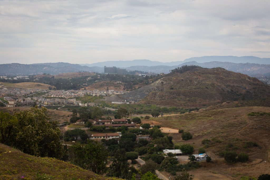 san-diego-wildfire-horse-1