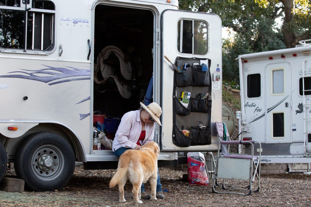 san-diego-wildfire-horse-3