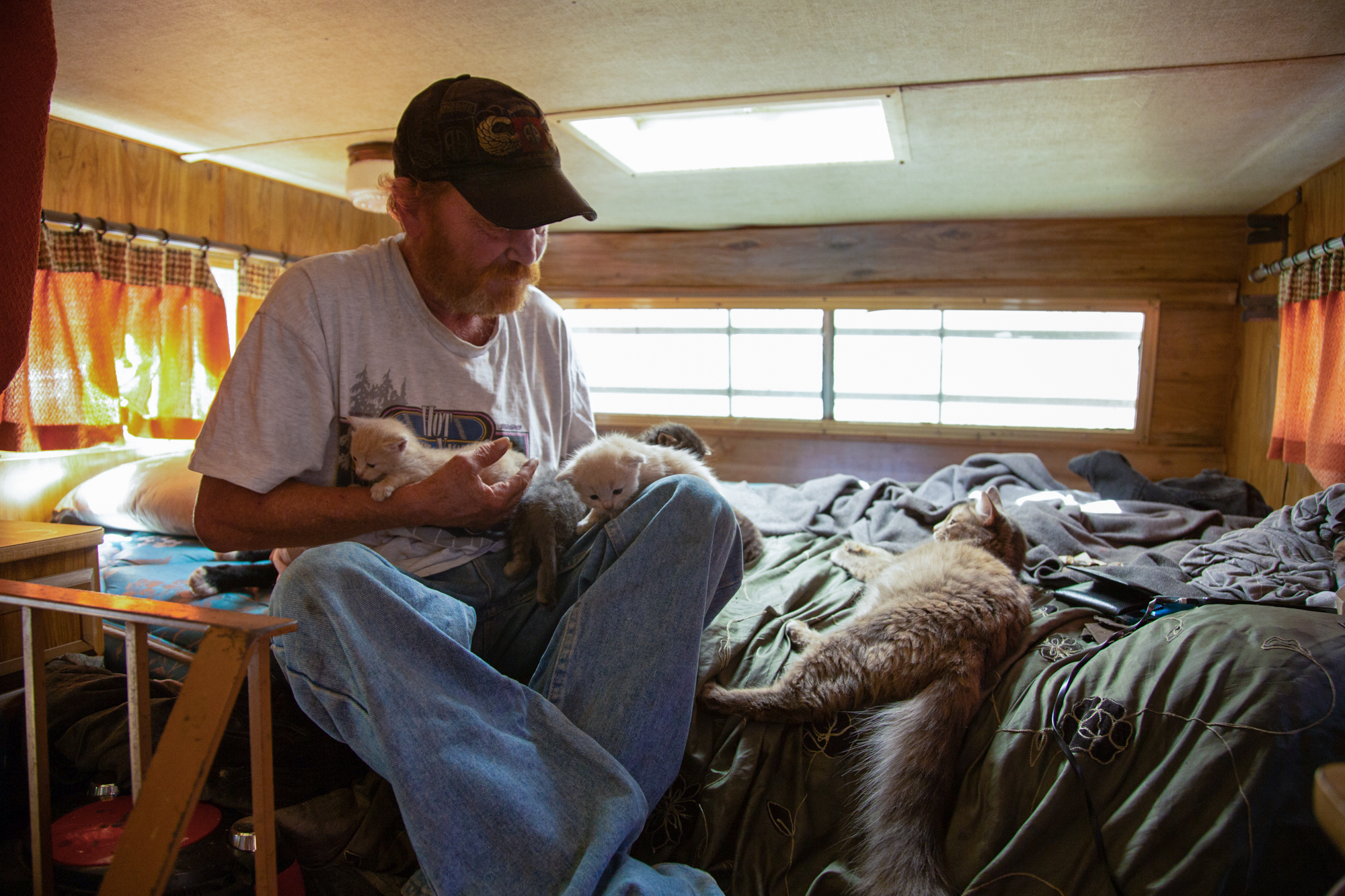 Timothy Lyons - Timothy Lyons lost his trailer home in Magalia to the Camp Fire, which killed 85 people in Northern California. He calls these kittens “fire cats” because their mother was pregnant when Lyons evacuated with her, and the five kittens were born in the tent where he stayed after losing his home. (Allie Barton/News21)