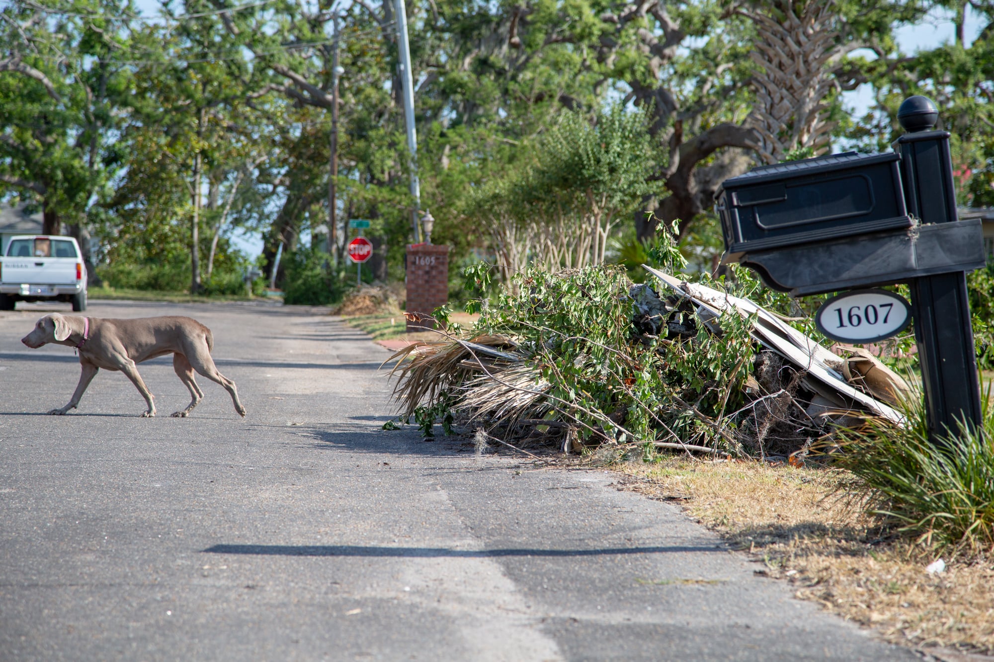 Debris can still be found along the residential streets of Panama City, eight months after Hurricane Michael. (Jake Goodrick/News21)