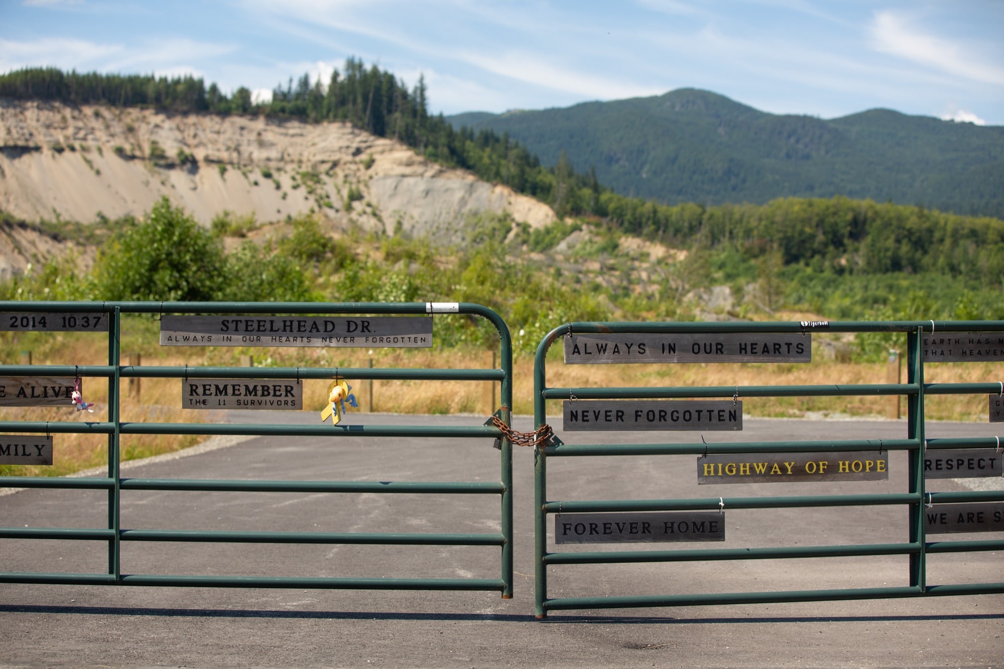 Messages of hope and remembrance adorn a fence on Steelhead Road in Oso, Washington, where 43 people died in a 2014 landslide – the largest in U.S. history. The temporary memorial also includes one tree for each person killed that day. In the background, the scar left by the slide is a reminder of the fickle power of nature. (Allie Barton/News21)