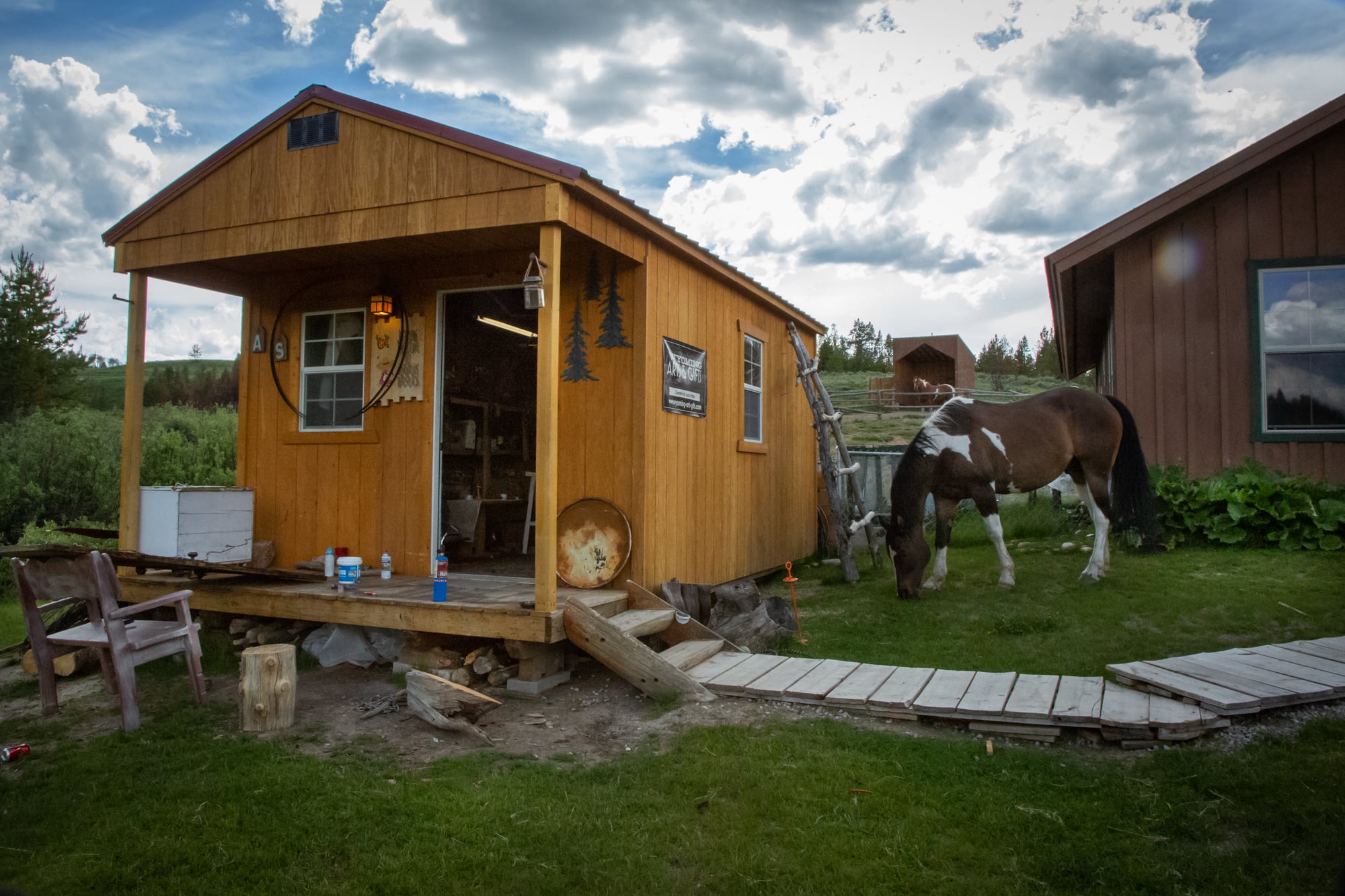 Sramek rides her horse, Easy, and makes art in her “she shed“ to cope with the intense pain of multiple sclerosis. The former flight attendant and art teacher moved to Hoback Ranches seven years ago. (Bailey Lewis/News21)